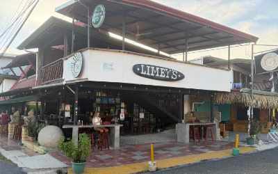 Photo of Limeys Restaurant