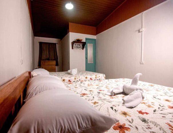 queenbeds