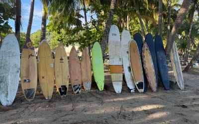 Photo of lots of surfboards