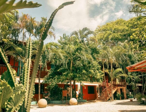 Photo of exterior courtyard at Soulara