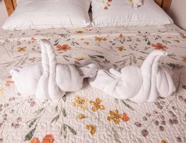 standardbedswans